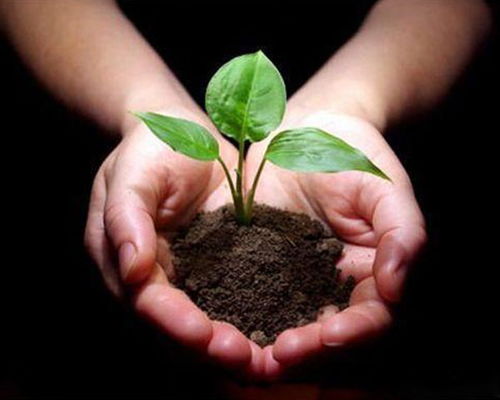 云南发酵有机肥与化肥市场价格对比及选择指南